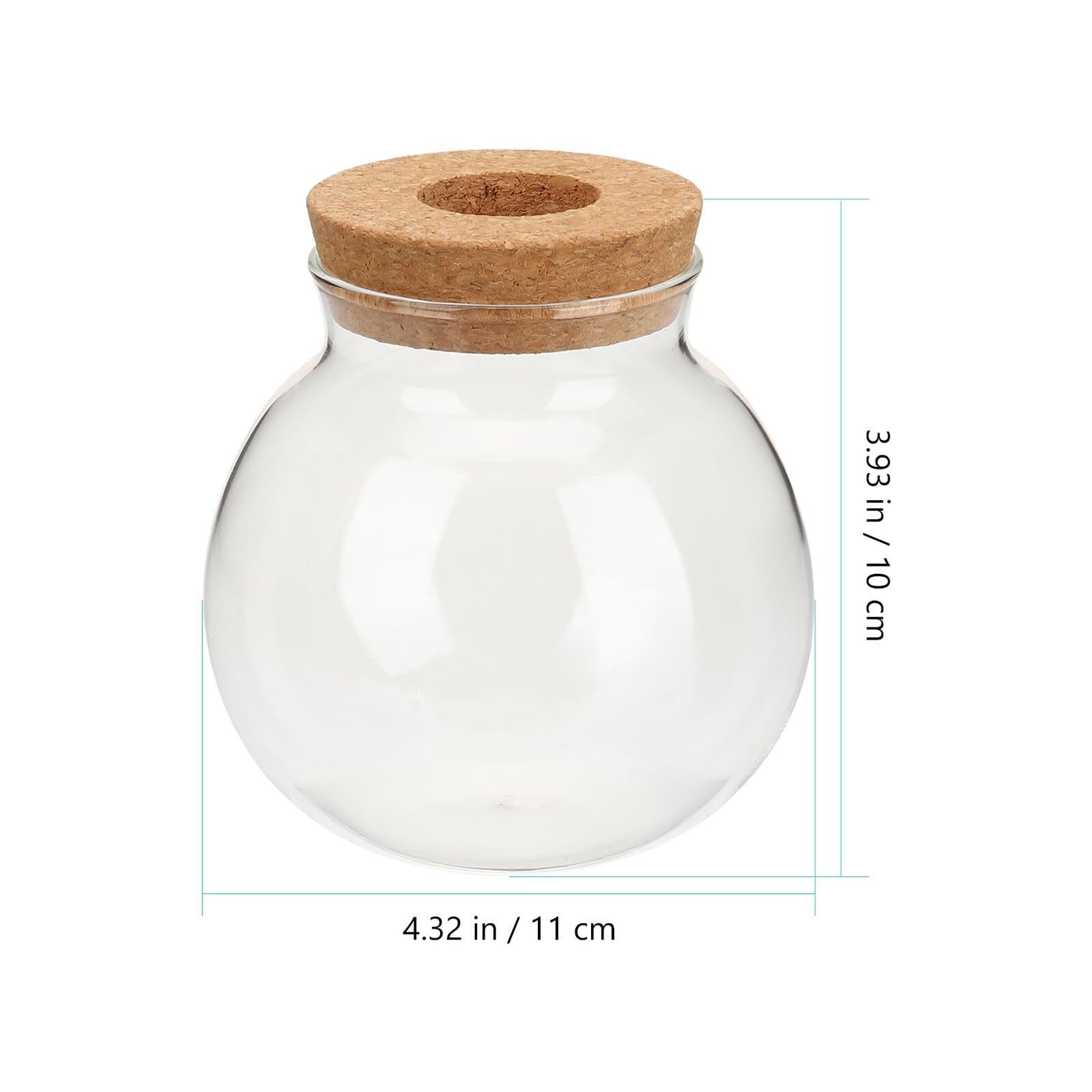 Veemoon Terrarium hydroponique en verre - Décoration de table pour culture hydroponique - Petit vase rond avec bouchon de bouteille pour salon, bureau, rebord de fenêtre