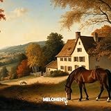 meloments.de | Verschenke Freudentränen