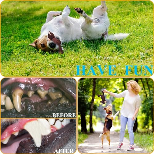 Squeaky-Dog-Toys-3-Layered-Durable-Stuffed-Dog-Toys-for-Aggressive-Chewers-Small-Medium-Breed-Cute-Plush-Puppy-Teething-Chew-Toys-Bear-S - Cucciolini Doodles   Squeaky-Dog-Toys-3-Layered-Durable-Stuffed-Dog-Toys-for-Aggressive-Chewers-Small-Medium-Breed-Cute-Plush-Puppy-Teething-Chew-Toys-Bear-S