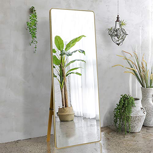 NeuTypeÂ Full Length Mirror Thin Frame Dressing Mirror 65"x22" Large Rectangle Floor Mirror Standing Mirror Wall-Mounted Mirror with Standing Holder, High Polystyrene Frame (65"x22", Gold)