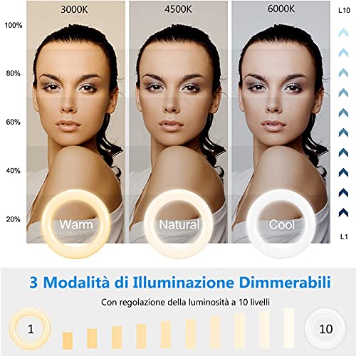 6,3'' Ring Light, Selfie Ring Light per Laptop