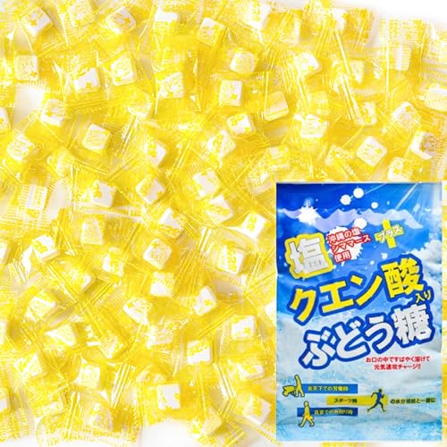 【熱中症対策 塩分チャージ 125粒】沖縄の塩 クエン酸入り ぶどう糖 (外仕事 勉強 受験 会議 スポーツ 登山) 【パッケージなし】