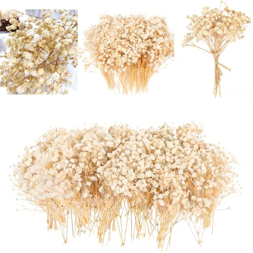 ACKKOR 130 Fleurs séchées de gypsophile artificielles avec Pince, Fleurs Naturelles séchées pour résine, créations DIY, Cartes de Mariage, décoration de...