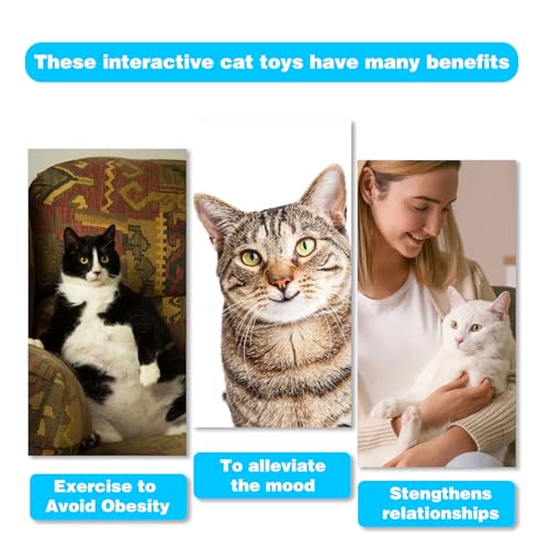 Image of Retractable Cat Toy Wand 12 Packs Interactive Cat Feather Toys | , 9 Assorted Teaser Refills with Bell for Kitten (Pink)
