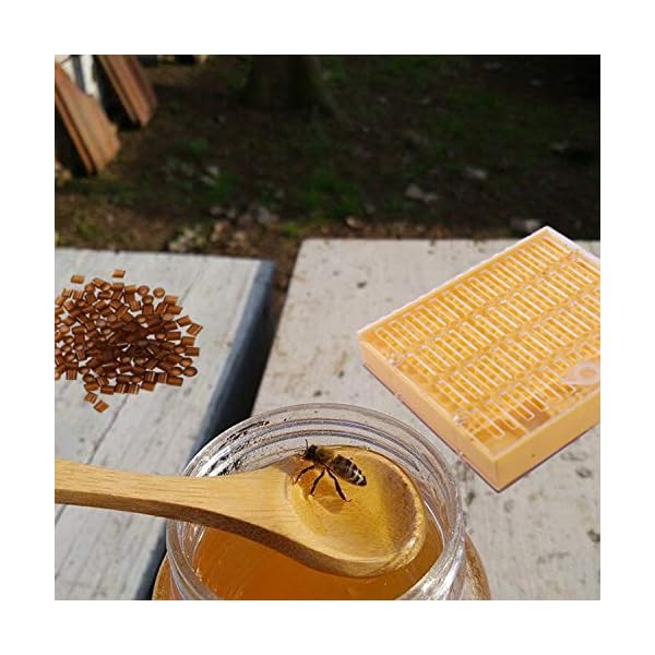 Cuasting Bienenzucht Bau Satz 120 Zell Cup Bienen Werkzeug Set K？nigin Aufzucht System Biene Nicot Komplette F？nger K？fig Imkerei Helfer – Bild 3