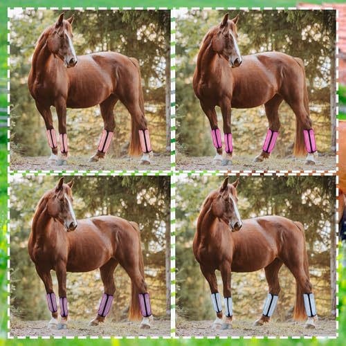 Image of Sanwuta 16pcs Horse Mesh Fly Boots Horse Fly Boots Fitting Non Slip Horse Fly Leggings Breathable Reduce Horsefly Nuisance Stomping and Stress(14 inch X 9 inch,Orange, Sky Blue, Rose, Purple)