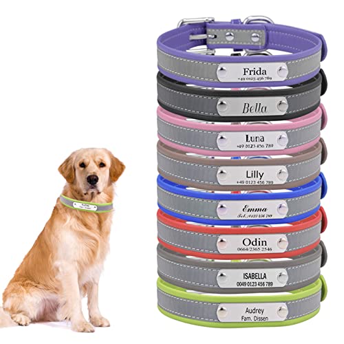 Reflektierende Hundehalsband Katzenhalsband mit Namen Telefonnummer Gravur Einstellbar Halsbänder Personalisiertes Hundehalsbänder