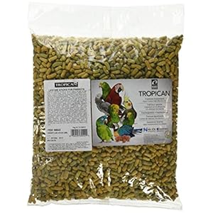 Hari Tropican Parrot Lifetime Stick