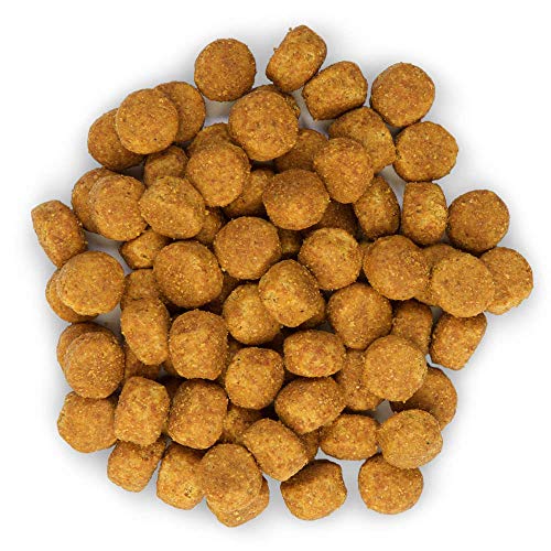 Hills Canine Adult mit Huhn 12kg, 1er Pack (1 x 12 kg Packung) - Hundefutter