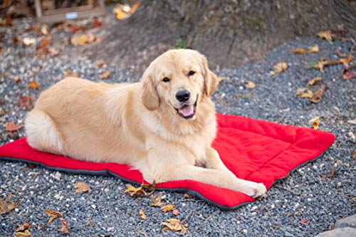 BoxDog Polar Fleece Dog Bed 100% Polar Fleece Dog Mat (X-Large)