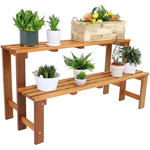 Sunnydaze 2-Tier Meranti Wood Plant Stand for Indoor and Outdoor Use - Garden Shelf with Teak Oil...