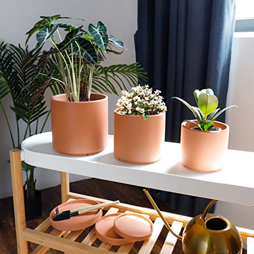 Potey Terracotta Planter With Drainage Hole And Saucer - 6 Inch 5 Inch 4 Inch Indoor Cylindrical Plants Flower Containers Unglazed Clay Pots - Set Of 3, 222231 #TOP7