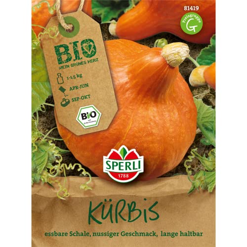 Preisvergleich Produktbild Sperli Gemüsesamen Hokkaido-Kürbis Solor Bio-Saatgut, grün