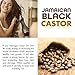 Jamaican Black Castor Oil - Hair & Beard Growth, Edge Control, Natural Cold Pressed Organic Oil for Hair, Skin & Natural Products - 1 Gallon (Packing May Vary)