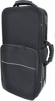 Amazon | PLAYTECH (プレイテック) アルトサックス用セミハード