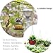 Hanging Chains 156 Inches for Bird Feeders, Billboards, Chalkboards, Planters and Decorative Ornaments（ Black ，10 Hooks ）