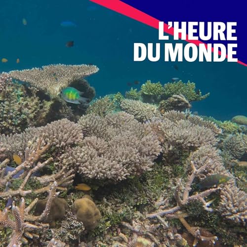 Limites planétaires : la Terre vers un point de non-retour ?