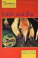 Little and Big 076080561X Book Cover