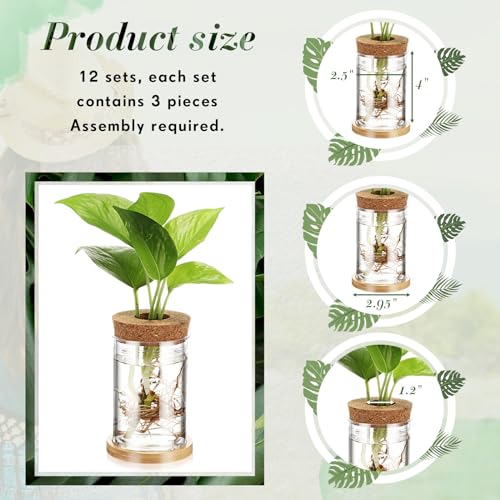 Baderke 12 Packs Plastic Desktop Vase With Hole Lid And Bamboo Stand Plant Propagation Stations Plant Growing In Water Hydroponic Home Office Table Decoration thumb #3