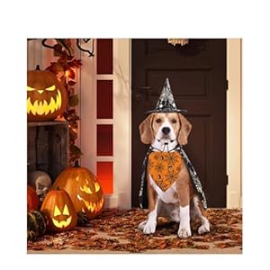 Halloween Dog Bandanas Puppy Scarf - Ghosts Spider Web Dog Outfits - 2 Pcs Adjustable Holiday Party Birthday Triangle Reversible Dog Costume for Small Medium Large Dogs Halloween Dog Bandanas Puppy Scarf Ghosts Spider Web Dog Outfits 2 Pcs Adjustable Holiday Party Birthday Triangle Reversible Dog Costume for Small Medium Large Dogs