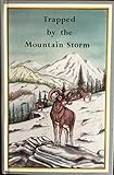 Trapped by the Mountain Storm