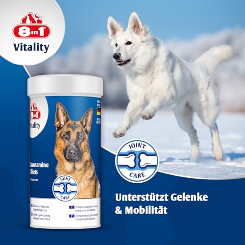 8in1 Glucosamin Tabletten - zur Nahrungsergänzung bei ausgewachsenen und älteren Hunden, 1 Dose (55 Tabletten)