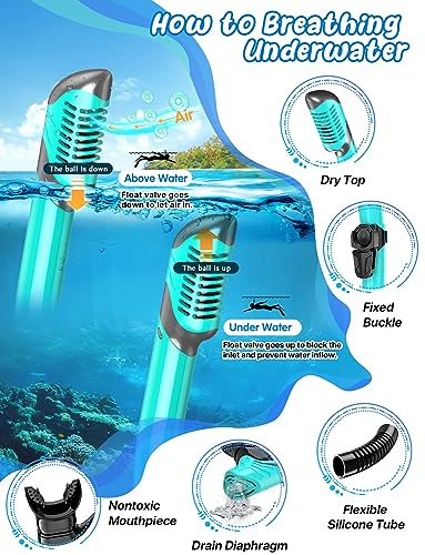 Zenoplige Snorkel Set Adults with Flippers, Snorkel Mask with Adjustable Swim Fins - Image 3