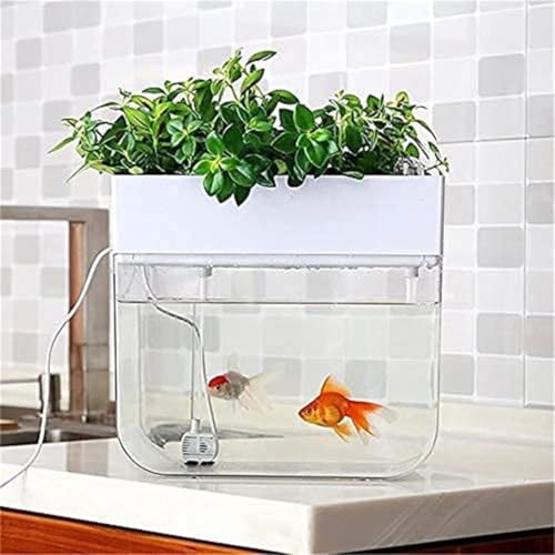 Quirixおしゃれ アクアリウム アクアポニックス 水耕栽培システム 有機セルフ給水プランタ 魚 植物 飼育 栽培 (ホワイト)