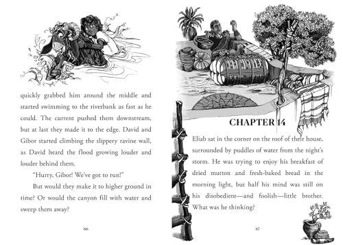 Young David: Shepherd - Image 9