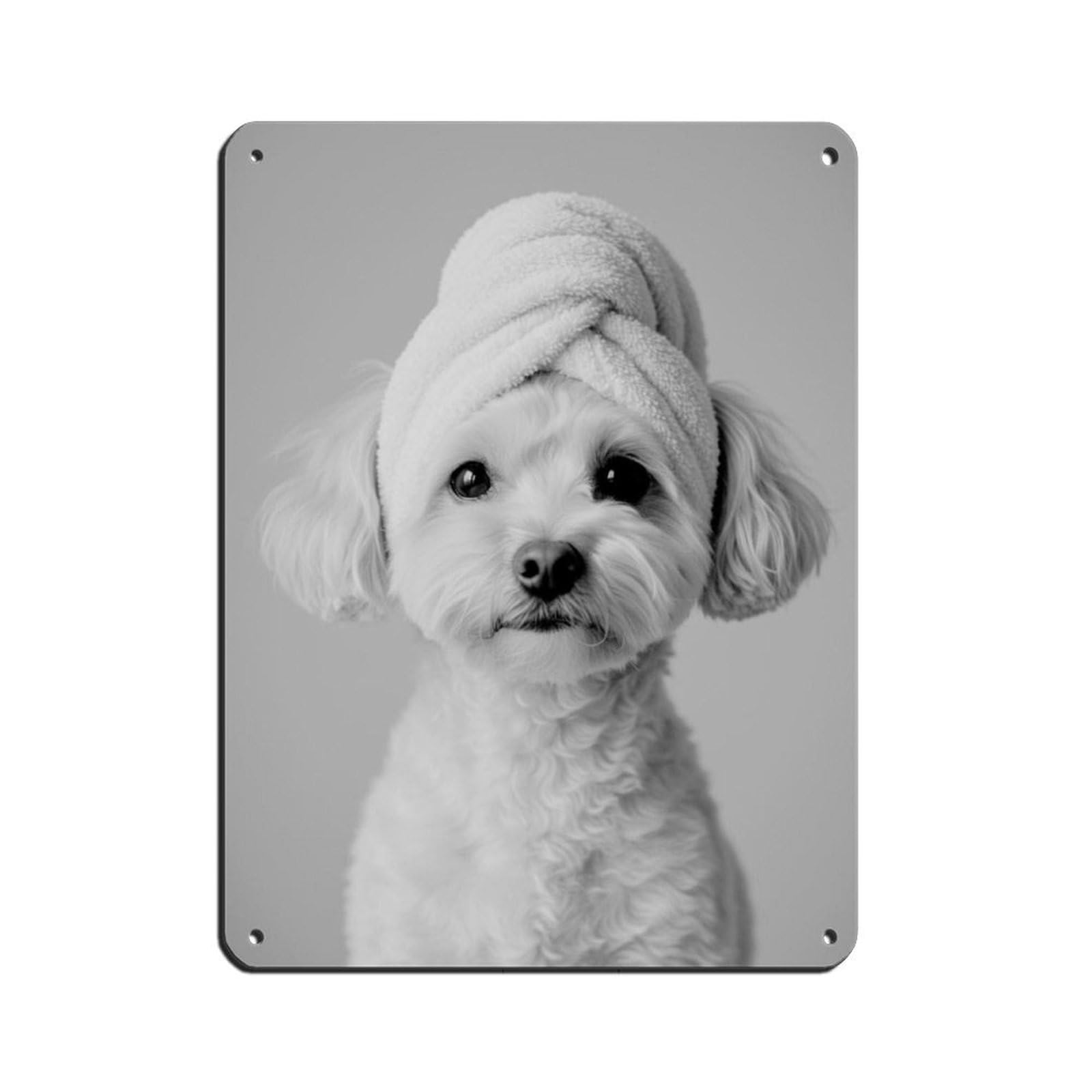 Bathroom Spa, Poodle Bichon Frise Dog Tin Sign Vintage Metal Pub Club Cafe Bar Home Wall Art Decoration Poster Retro 12x16inch(30x40cm)