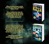 Rostiges Grab: Leonore Askers besondere Fälle. Kriminalroman | Band 3 der schwedischen Bestseller-Krimi-Reihe #3
