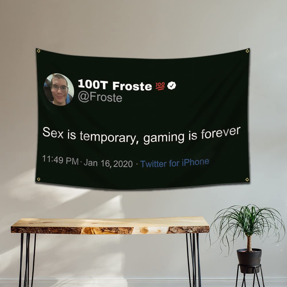 Amazon.com: Felizer 100T Froste Tweet Flag - Sex is temporary Gaming is  forever (3x5ft, Anti-fade Poly，150D ) Premium Quality with Two Brass  Grommets Vibrant Colors For Garage Man Cave : טיפוח הבריאות