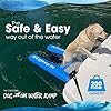Dog on Water Ramp for Boat, Dock, or Pool