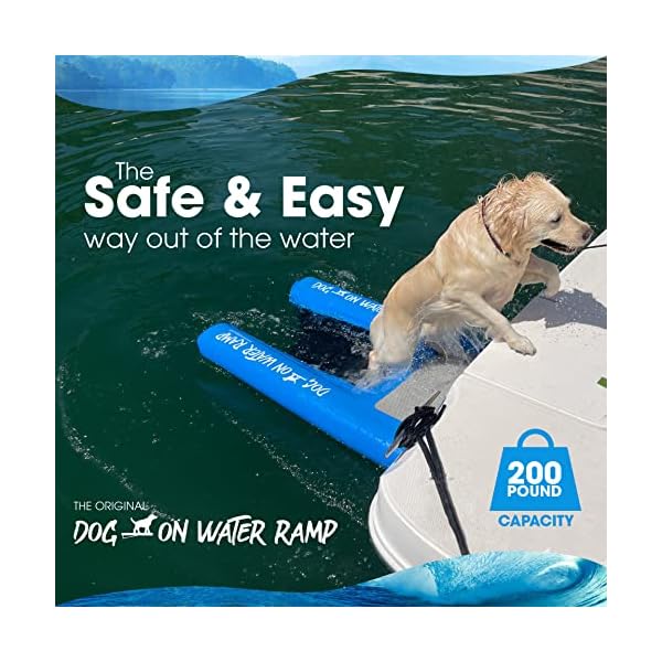 Dog on Water Ramp for Boat, Dock, or Pool