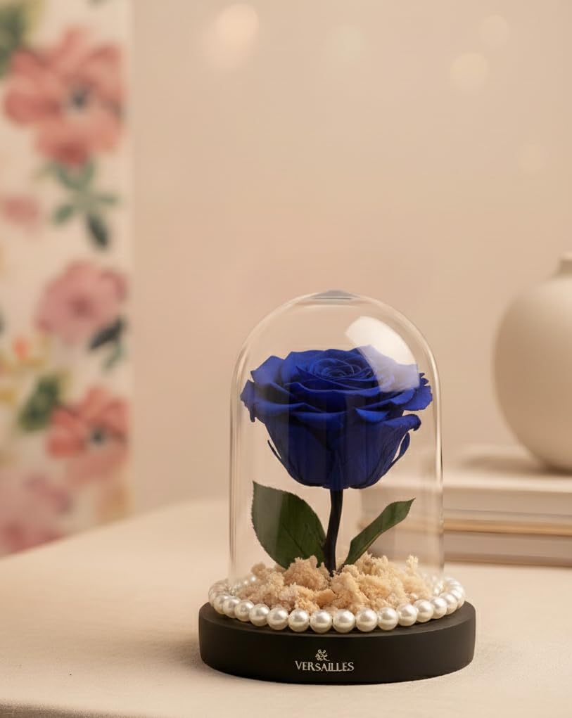 Versailles Preserved Blue Rose in Glass Dome | Black Wooden Base with White Gypso & Pearls | Long Lasting Infinity Rose Gift | Anniversary, Birthday or Valentine’s Day-image-47