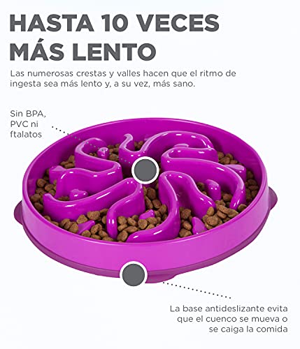 Outward Hound Fun Feeder Slo Bowl - Slow Feeder Dog Bowl - No Bloat - No Choke - Large - Purple – Image 4