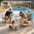 MAISON BACKYARDS 3-Piece Aluminum Outdoor Conversation Set, Modern Deep Seating Chairs with Thick Cushions & Coffee Table, Weather-Resistant for Garden, Porch, Deck, Balcony