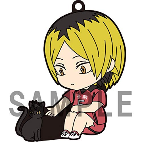 Zaroter Haikyu!! Volleyball Shoyo Hinata Mini Changing Face Action Figure Painted Abs & Pvc Non-Scale Articulated Figure With Stand (Kenma Kozume) #TOP5