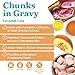 Solid Gold Wet Cat Food for Adult & Senior Cats 24 Pack - Wholesome Selects Chunks in Gravy - Made with Real Chicken & Duck for Healthy Digestion and Sensitive Stomach