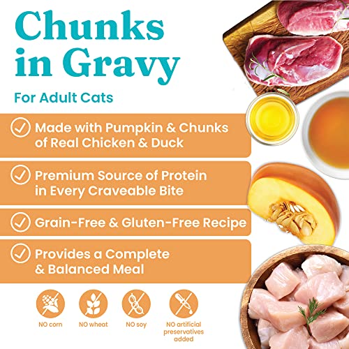 Image of Solid Gold Wet Cat Food for Adult & Senior Cats 24 Pack - Wholesome Selects Chunks in Gravy - Made with Real Chicken & Duck for Healthy Digestion and Sensitive Stomach