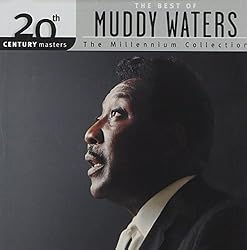 Best Electric Guitars Under $1,000: Top 5 Review and Picks 17 510ZpoYMzTL. SL250