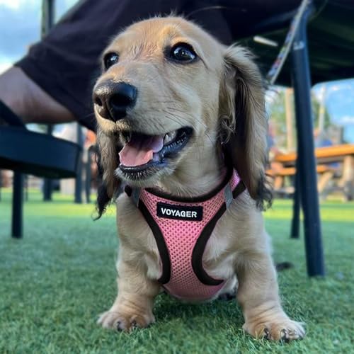 Image of Voyager Step-in Air Dog Vest Harness - Pink /Black Trim, Medium