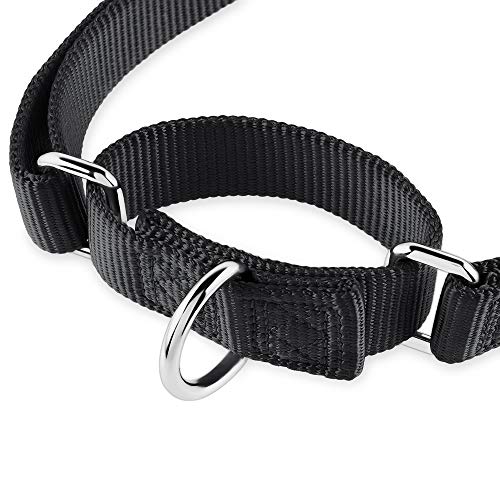 Hyhug Anti-Fuga Robusta Martingale Large Boy And