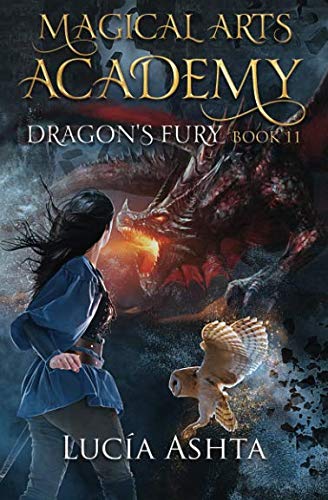 Cover of Dragon's Fury