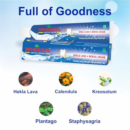 Image of WHEEZAL Hekla Lava Dental Cream (Tooth Paste) (100g) (PACK OF 3), Freshening