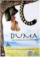 DCI☆DVD☆2005 With Or Without You (DVD, 2005) Cynda Williams, Mushond Lee