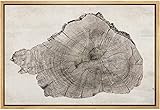 SIGNLEADER Framed Canvas Print Wall Art Close Up Detail Wood Tree Ring Log Nature Wilderness Digital Art Realism Decorative Rustic Relax/Calm for Living Room, Bedroom, Office - 16'x24' NATURAL