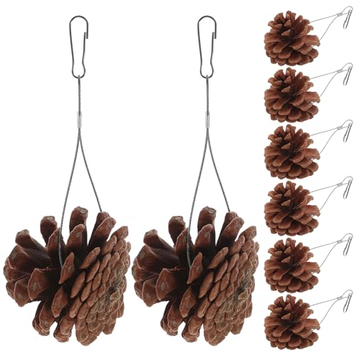 KAILIKETIY 10 ybgp𚐂 ^pڂ?H CR IE łߗVїp ̂VтɓKϋvf