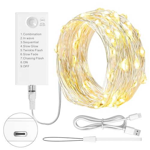 LED Lichterkette 5M mit wiederaufladbarem Batteriefach,50 LEDs, 8 Modi...