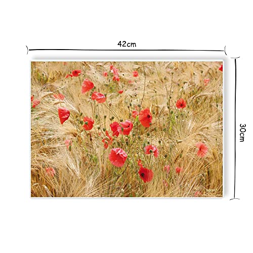 Sets de table lavable plastique lot de 4 anti-tache coquelicots - 3
